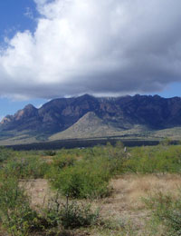 Arizona landscape